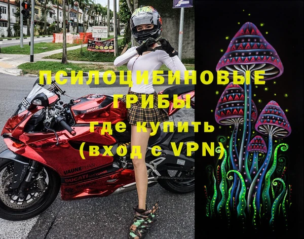 PSILOCYBIN Белоозёрский