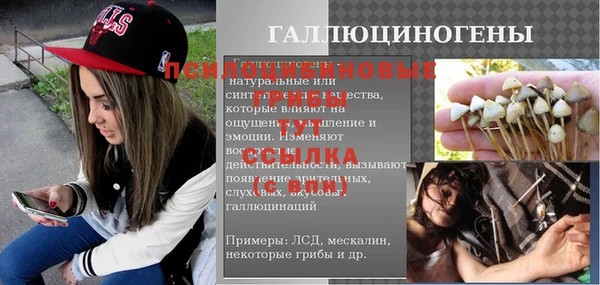 PSILOCYBIN Белоозёрский